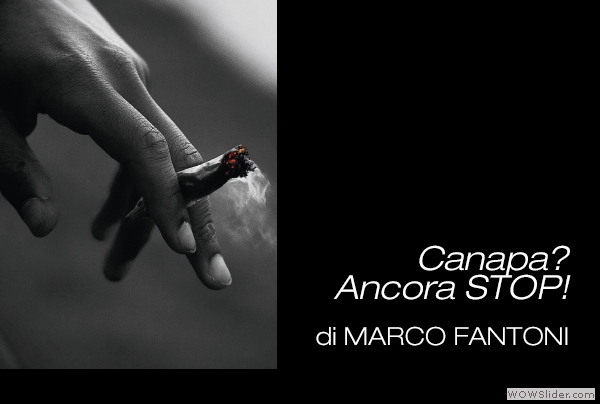 Marco-Fantoni_canapa