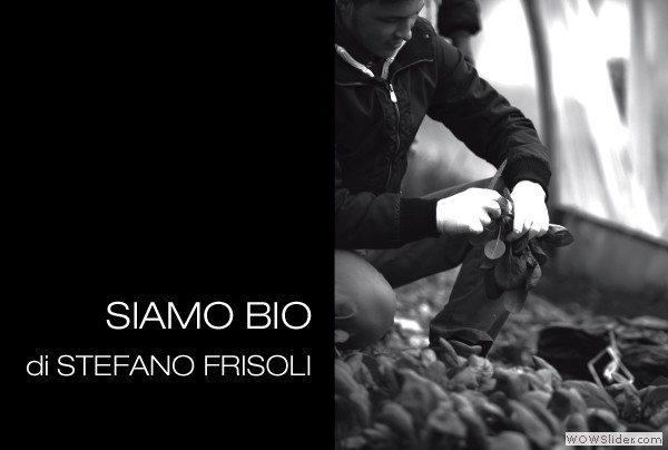 Stefano-Frisoli-Siamo-BIO