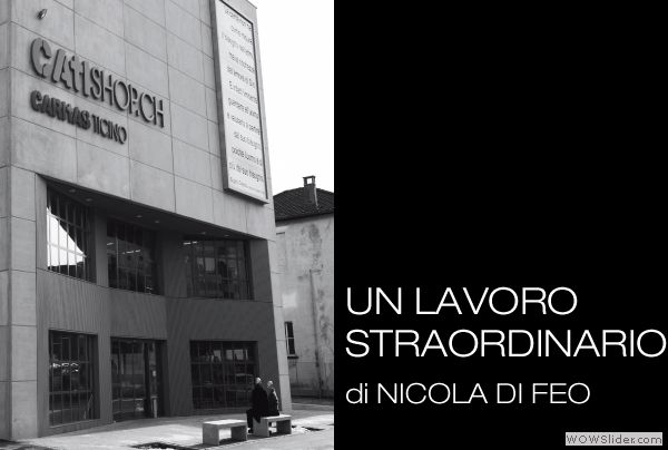 Nicola_Di_Feo_Lavoro_straordinario