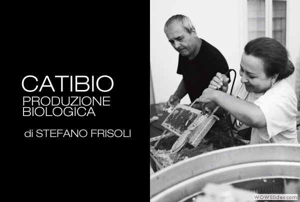 Stefano-Frisoli_Catibio
