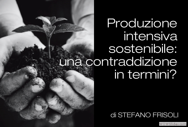 Stefano-Frisoli-produzione-intensiva