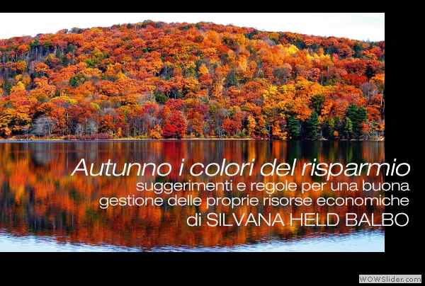 Silvana-Held-Risparmio