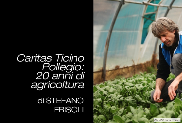 Stefano-Frisoli-20anniPOP