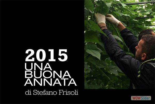 StefanoFrisoli_2015buonaannata