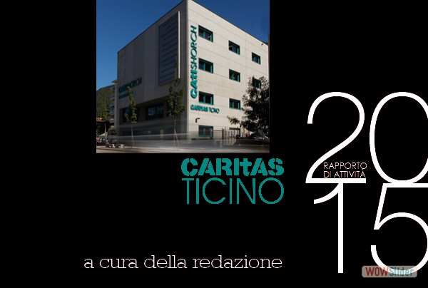 Redazione Rapporto 2015