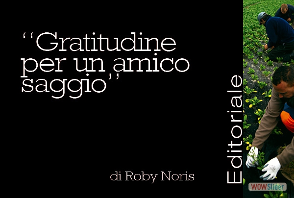 Roby Noris editoriale 2016_R2