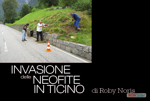 Roby Noris Invasione neofite