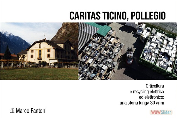 articolo12