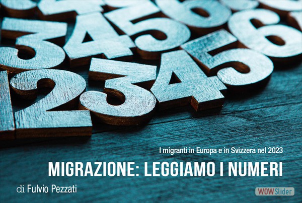 articolo14