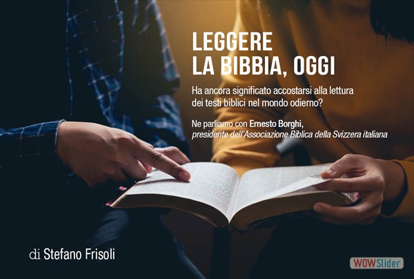 articolo17