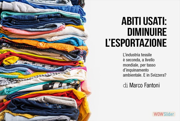 articolo6