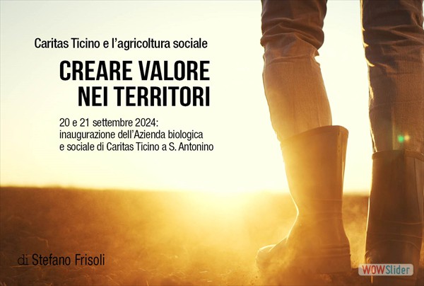 articolo7