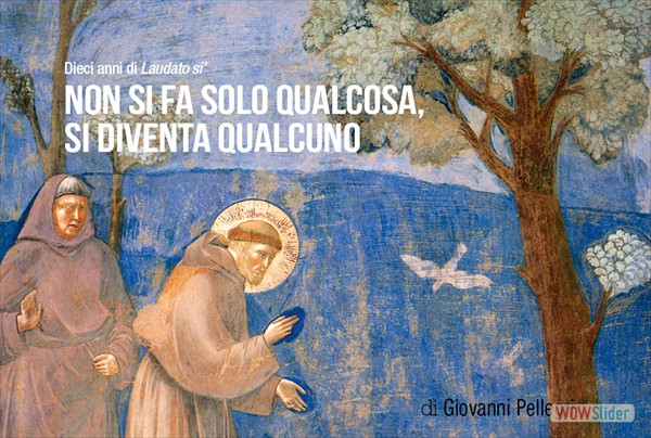 articolo16