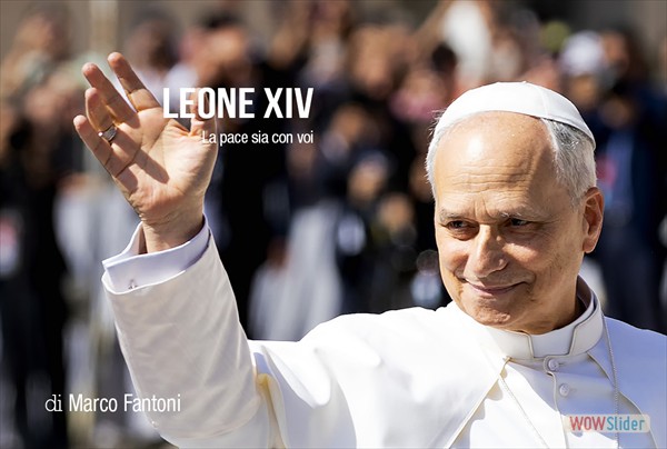 articolo10