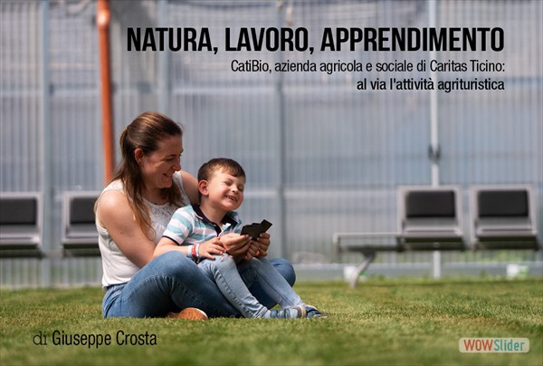 articolo3