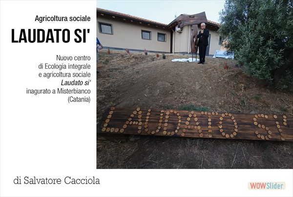 articolo4