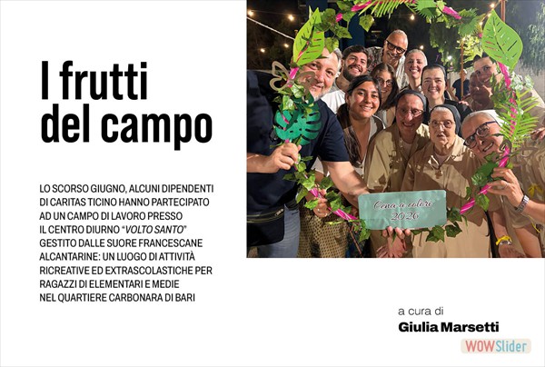articolo15