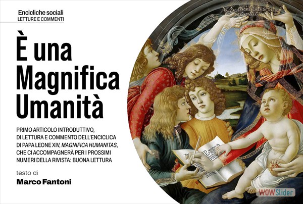 articolo7