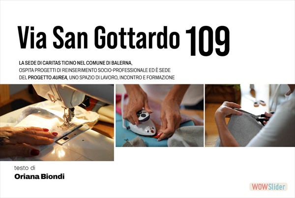 articolo8